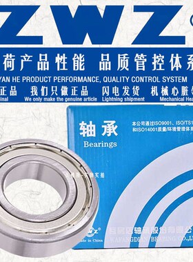 ZWZ瓦房店深沟球轴承6044高速6048静音P5耐磨P4电机ZZ 2RS水泵