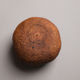 复古中式大漆生漆柚子建水水孟水杯茶道公道杯手工天然禅意雅致茶