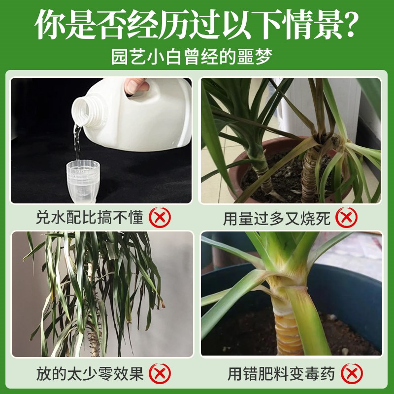 龙血树专用营养液免稀释黄叶太空铁黑珍珠龙须树专用肥料液体肥