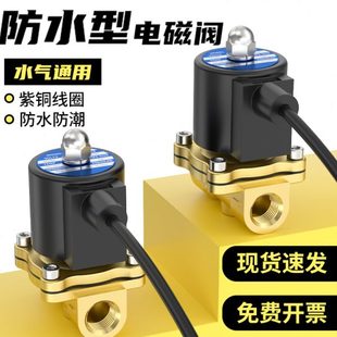 室外防水电磁阀4分6分1寸铜常闭电磁水阀220V控制阀不锈钢24V气阀
