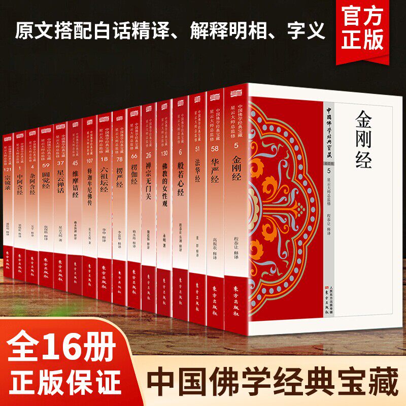 【官方正版】中国佛学经典宝藏全套16册星云大师入门级佛学书籍永嘉证道歌长阿含经大智度论华严经安般守意经肇论纲要中论