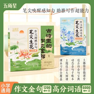 作文超然金句1200例 古诗里 作文金句 笔尖唤醒感知力助推写作超能力正版 笔尖生花 作文妙语连珠高分词语6000词 书籍 现货速发