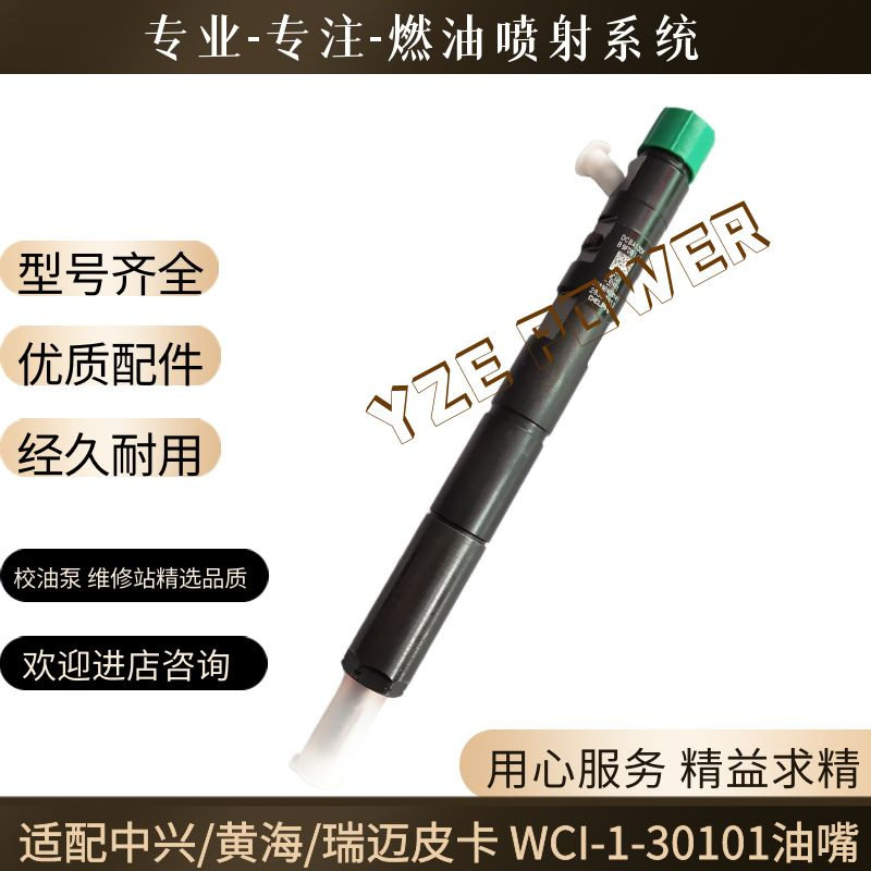 中兴黄海瑞迈皮卡喷油器总成