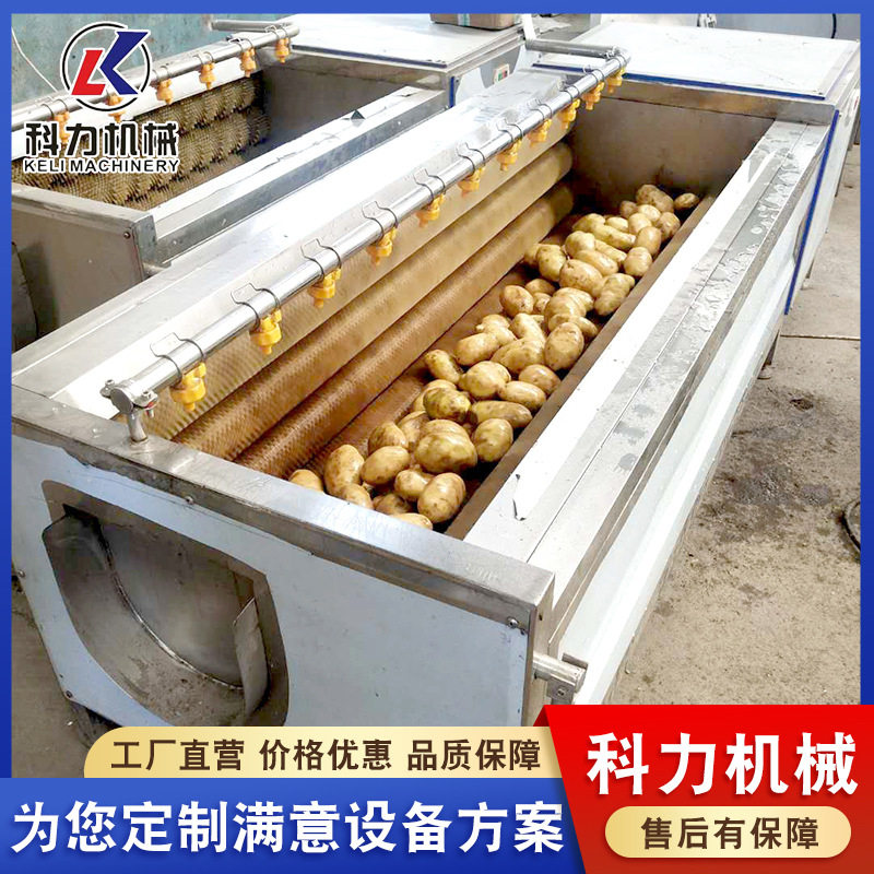 胡萝卜清洗机南瓜快速去皮机 红薯木薯清洗去皮机 毛刷式清洗机