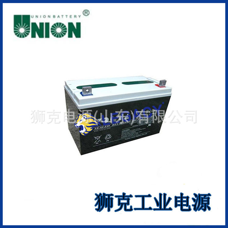 德国WING蓄电池ESL100-12深循环储能12V100AH机器人仪器应急设备