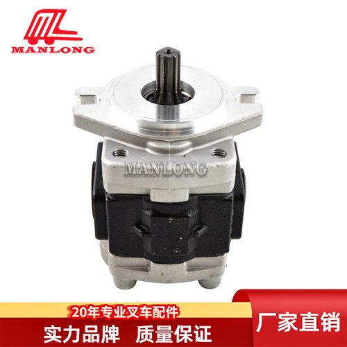 叉车配件液压泵10TTMG1A32A2H5-R8916D电动叉车配件液压泵