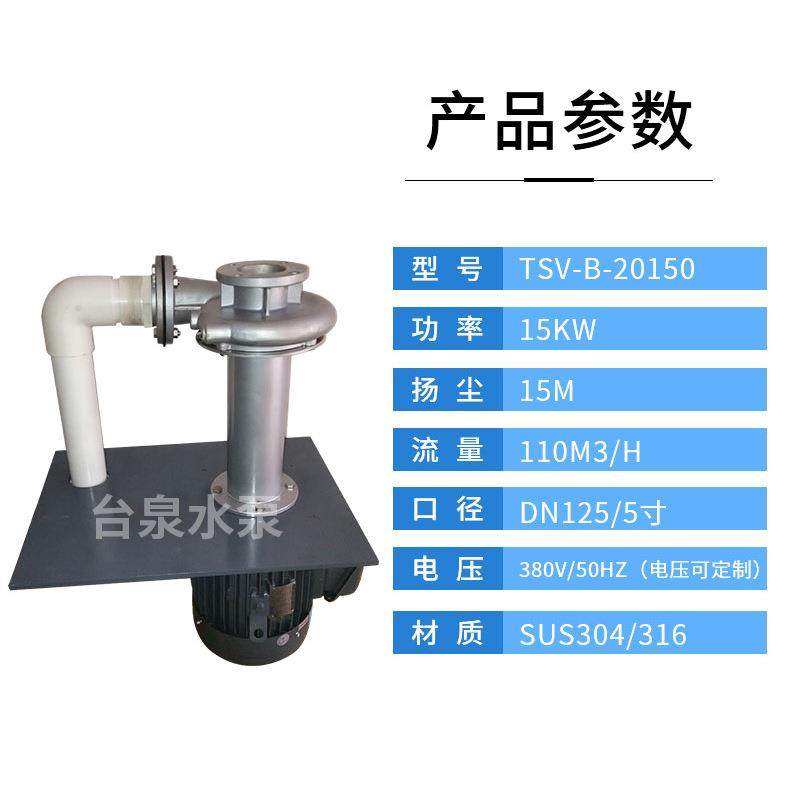 台泉牌立式双管液下泵电镀涂装喷淋设备槽内液下泵DN125