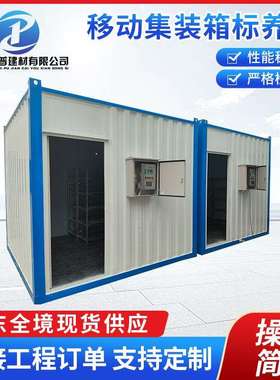 广东移动养护室混凝土集装箱标养室工地用恒温标准养护室