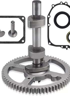 793880 Camshaft for Briggs & Stratton 793583 792681