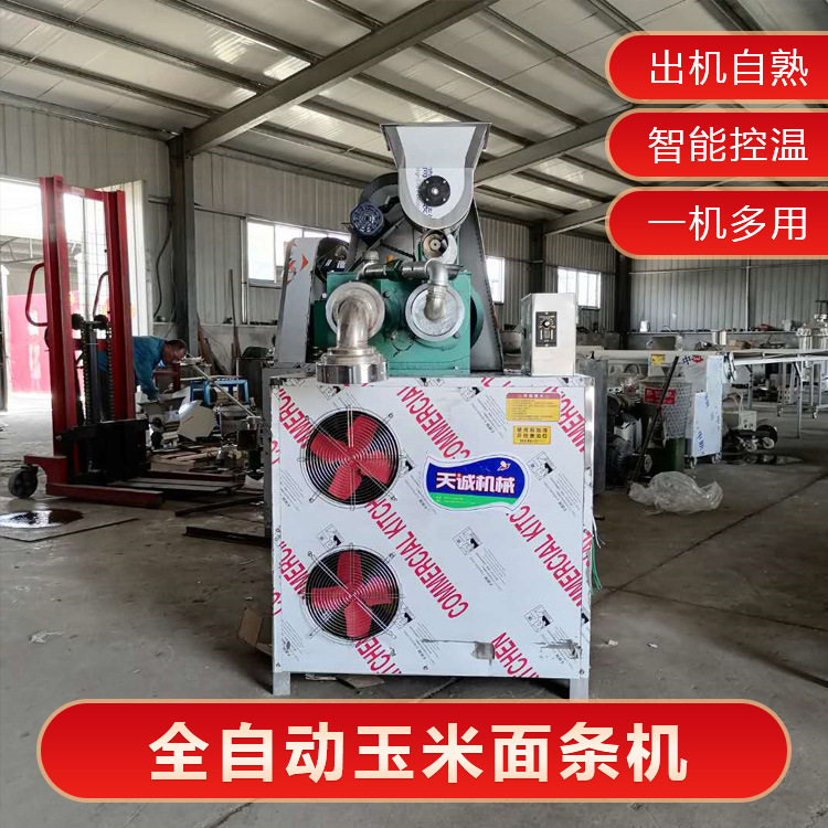天诚牌商用杂粮面条加工设备 双螺杆自动熟化米粉机