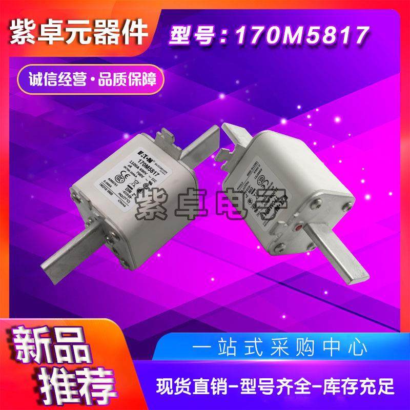 170M5881170M5882170M5883170M5884170M5885巴斯曼快速熔断器