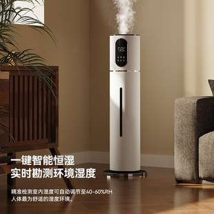 110v宽电压空气加湿器家用静音卧室孕妇婴儿香薰超声波大雾量净化