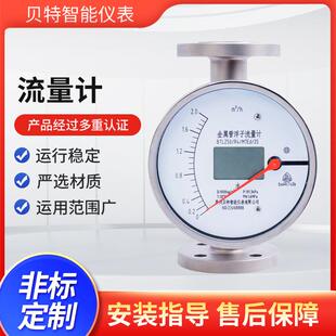 水处理设备用流量计空气氮气纯水气体流量计金属转子流量计