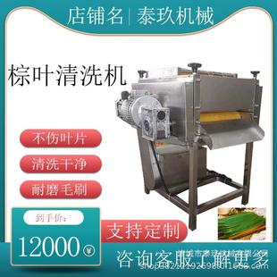 蒲扇白菜叶类清洗机竹叶清洗设备芦苇叶清洗机器芭蕉叶毛辊洗叶机