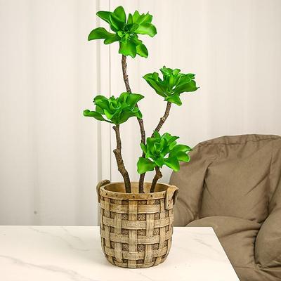 仿真花假花仿真盆栽绿植简约摄影道具餐桌摆件绢花铁石莲盆栽