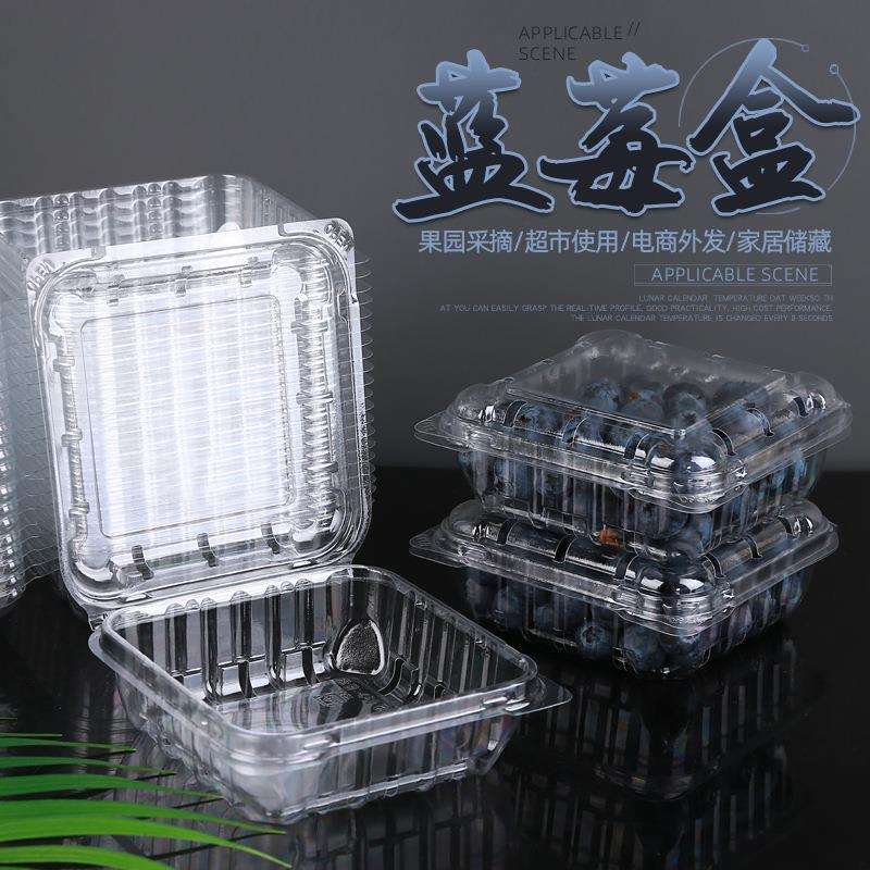 一次性塑料透明水果盒蓝莓盒125克直销有盖树莓桑葚打包盒