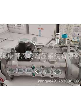喷油泵120K4BH6PA1000317833和13065049B4PN537G4BH4PN110R