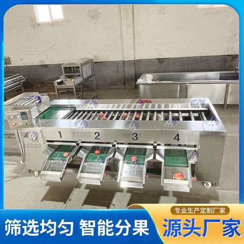山楂大枣滚杠分选机蜜薯大小分拣机百香果滚杠分拣机土豆分级机
