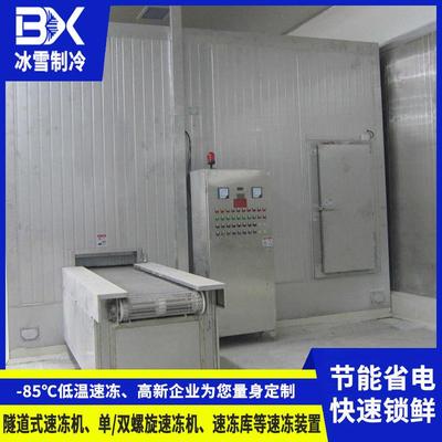广东冰雪隧道式速冻机不锈钢网带式速冻机食品低温急速冷冻设备