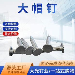 镀锌轻型大帽钉沥青瓦固定钉平头大头帽钉水泥木板钉子现货
