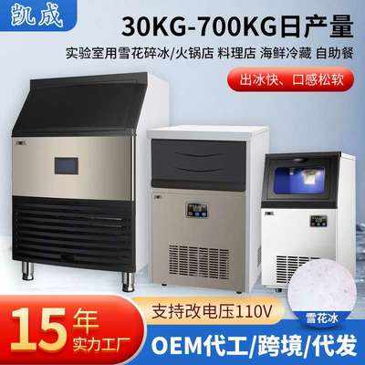 商用海鲜市场雪花制冰机出全自动一体式雪花颗粒碎冰机器