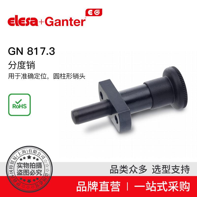 ElesaGanter伊莉莎冈特GN817.3分度销用于精确定位