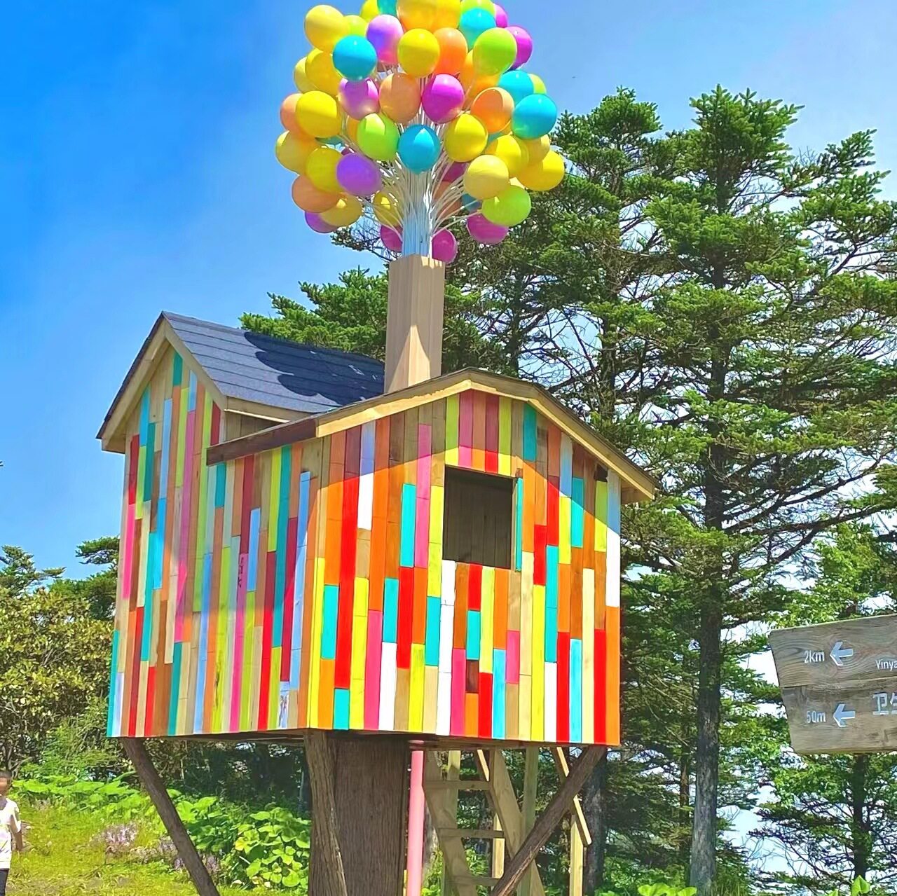 气球小屋游乐场露营地动物园专用互动打卡项目网红气球飞屋