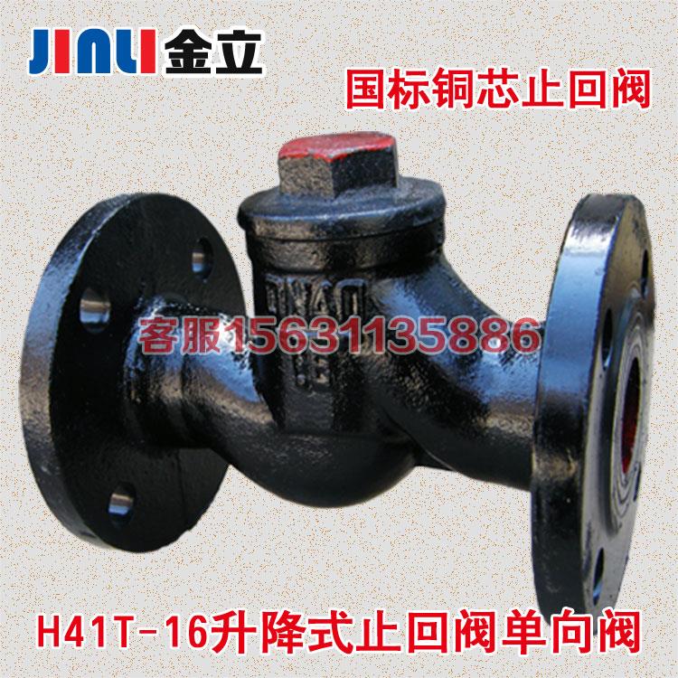 H41T-16升降式止回阀 法兰逆止阀单向阀DN25 40 50 65 80 100 150