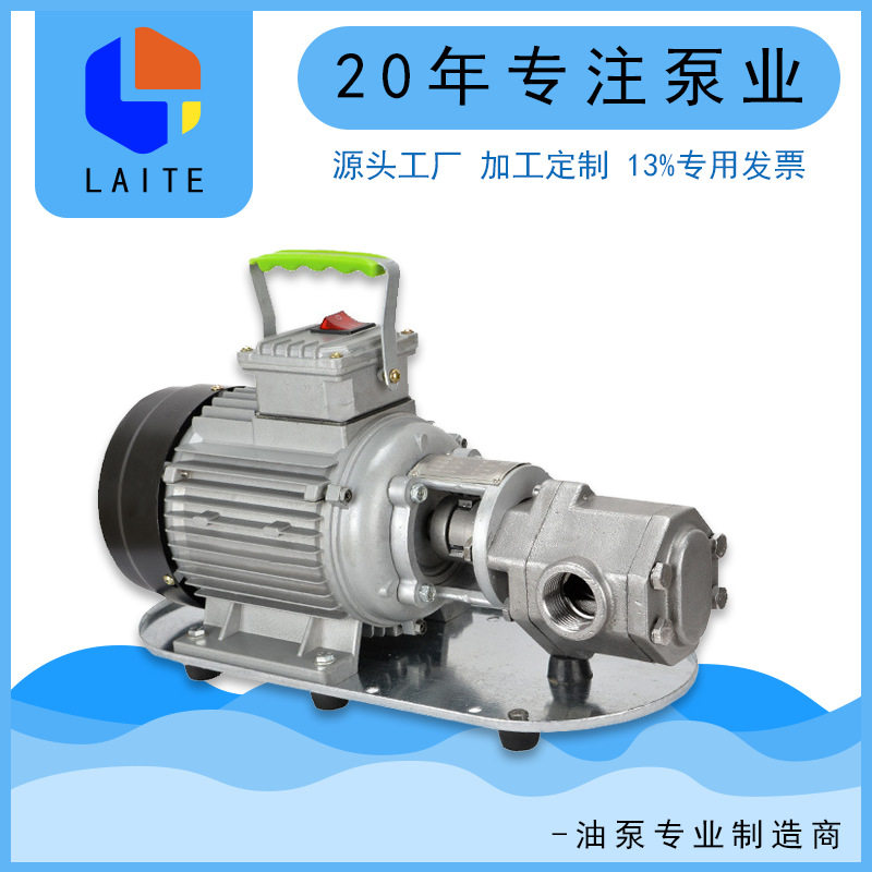 WCB手提齿轮泵小型不锈钢电动柴油泵微型卸柴油液压机油泵自吸泵