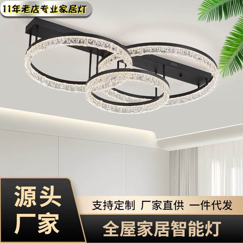 设计师客厅吸顶灯新款主卧室灯意式极简现代简约大气家用2025石头