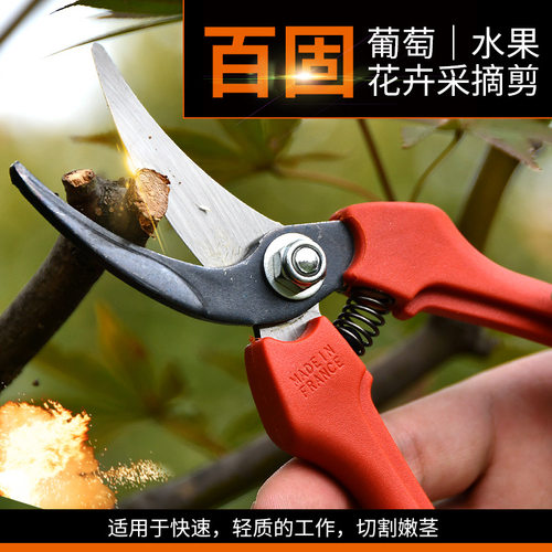 百固P123修剪树枝剪刀园林工具花剪园艺剪刀修枝剪子花枝剪刀