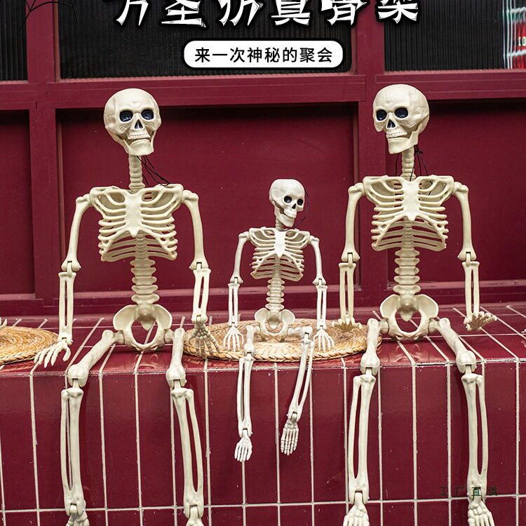 万圣节装饰品摆件仿真人体骷髅骨架动物蜘蛛密室场景布置装扮道具