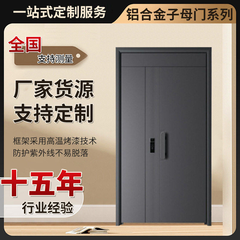 铝合金子母智能锁防盗门