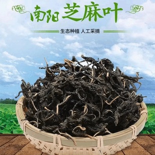 南阳芝麻叶干货500g农家自制脱水蔬菜干河南特产特级新鲜黑菜面条