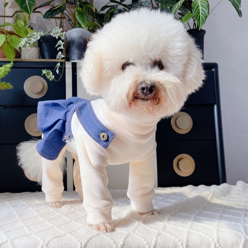 潮查利家宠物秋冬加绒保暖包肚衣服泰迪比熊网红猫咪公母狗护肚裙