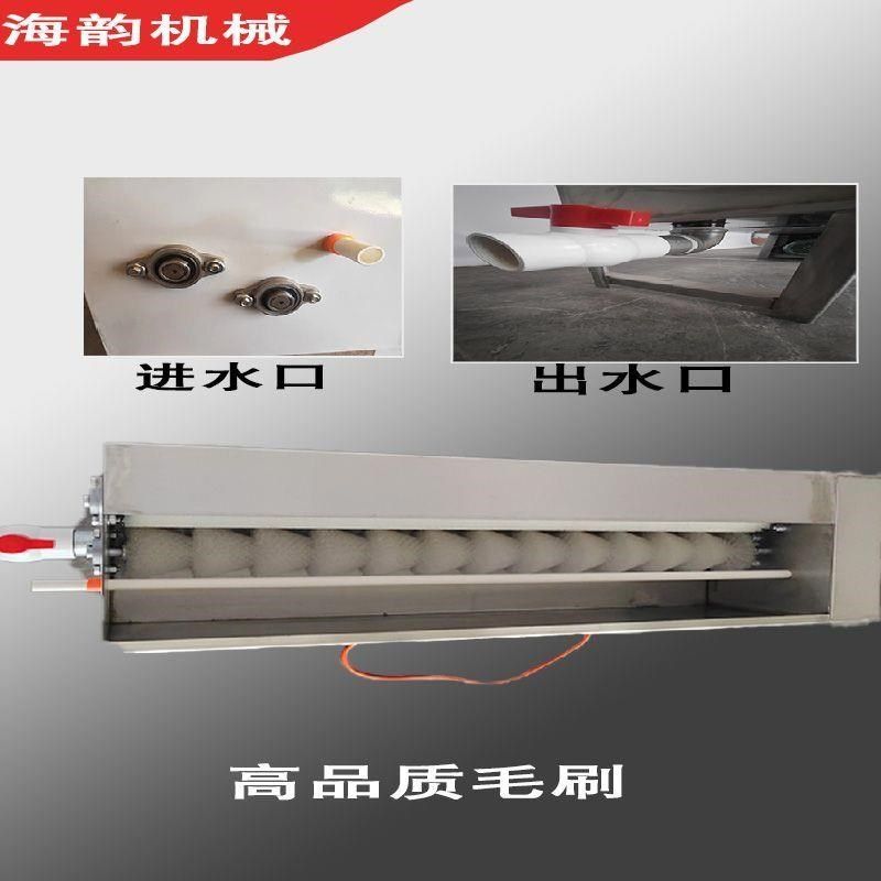 全自动洗蛋机小型商用毛刷鸡蛋鸭蛋清洗机新型蛋品清洗机器洗蛋器