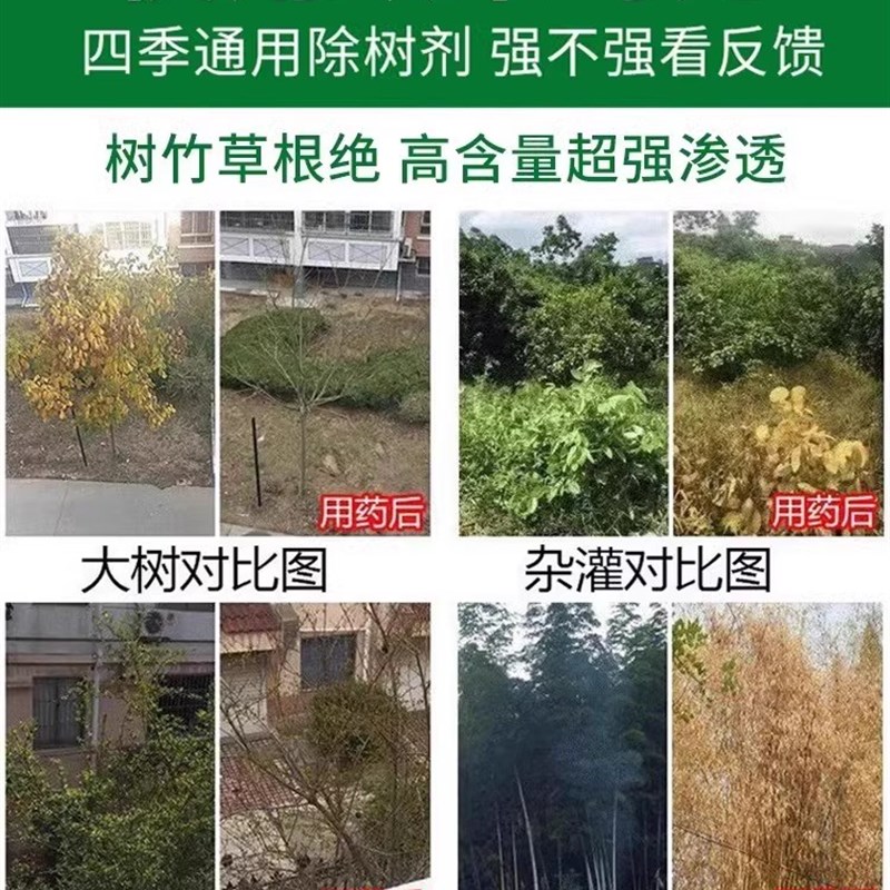 强力去树粉清树根竹子专用大树杂竹荒草灌木彻底干净浓度高见效快