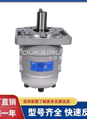 合肥长源液压齿轮泵CBTD-F5CBT-F525/F532/F540/F550/环卫车油泵