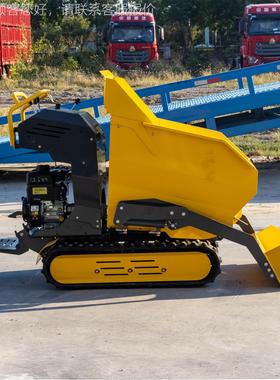 迷Dump tr908小uck出口奥地利 你型液压斗车翻 农用小型液压自卸