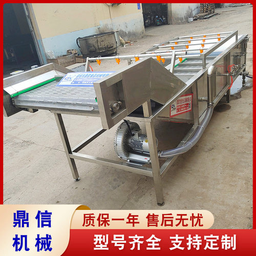 鼎信 叶类气泡清洗机 不锈钢 黄瓜喷淋清洗设备 蔬菜气泡清洗机