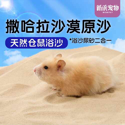 新派宠物仓鼠浴沙尿砂二合一撒哈拉沙漠沙金丝熊浴室除臭洗澡沙