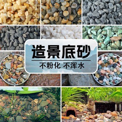 鱼缸天然底砂小石头鹅卵石溪流沙川藏石生态缸造景铺底白石雨林沙