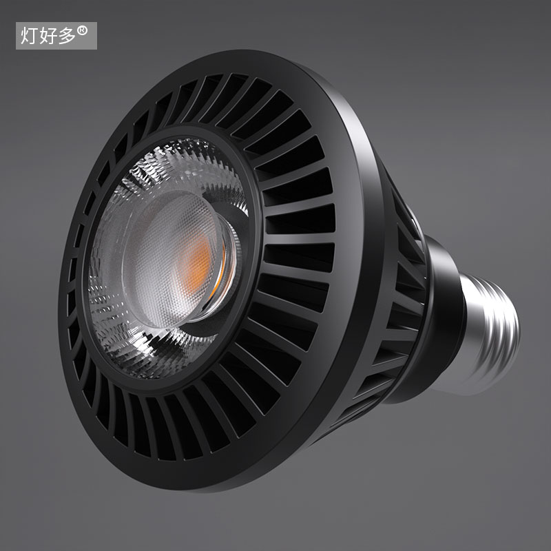 餐饮店餐厅饭店全光谱LED灯泡射灯光源Par 20 30 38聚光型24W 12W