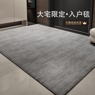 地垫入户门垫高级感耐脏室内进门门口脚垫家用防滑免洗门外专用垫