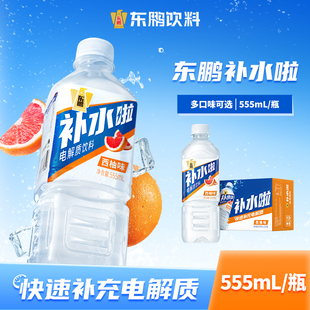 东鹏补水啦电解质饮料555ml 15瓶整箱跑步骑行补充水分电解质饮品