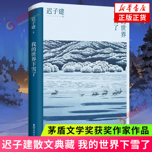 【认准正版】我的世界下雪了 迟子建散文典藏系列 茅盾文学奖得主迟子建散文自选集 中国现当代文学散文随笔 新华书店旗舰店