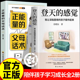 【认准正版】登天的感觉正版岳晓东我让深陷困境的孩子振作起来 心理咨询基础入门书籍激励青少年必读畅销读物