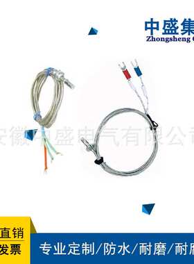 安徽天长市中盛埋入式热电阻WZPM-201 PT100 L=2000