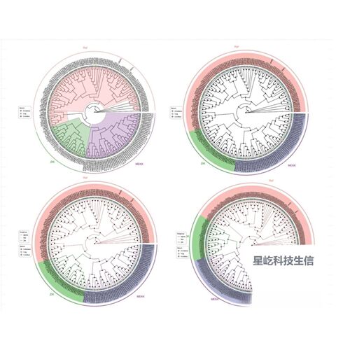 2-8geo数据挖掘单细胞测序分析网络药理