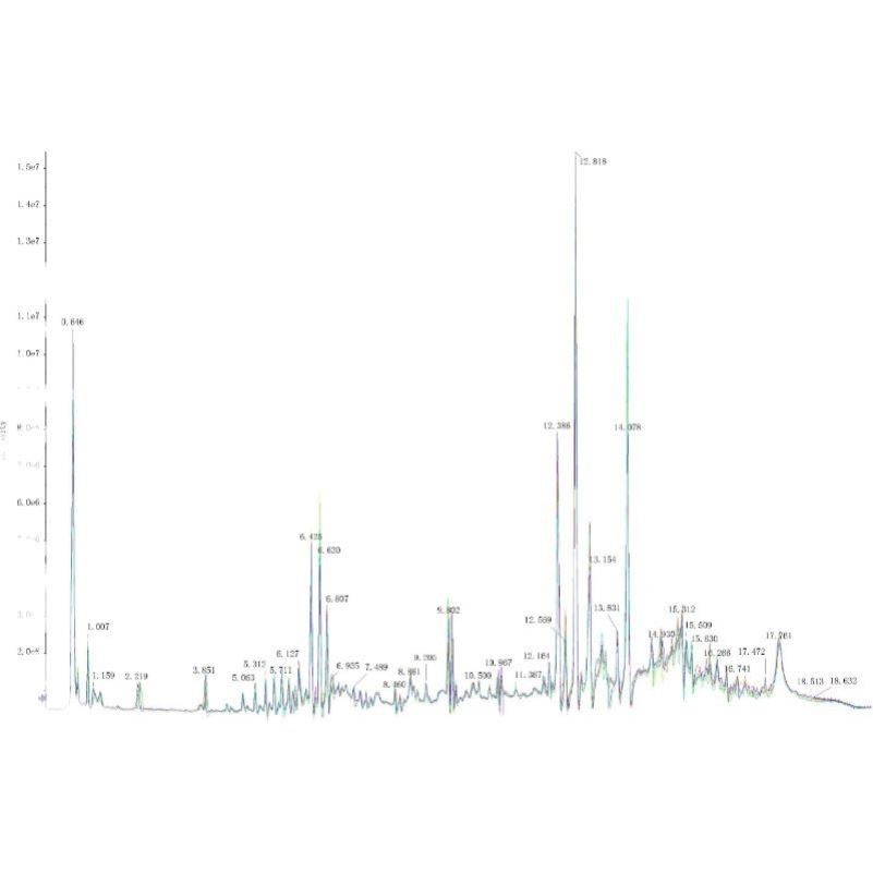 质谱检测数据分析服务、代谢组学服务、蛋白组学服务、教学培训服,商务/设计服务,其它设计服务,淘宝优惠券,粉丝福利购,淘宝优惠卷